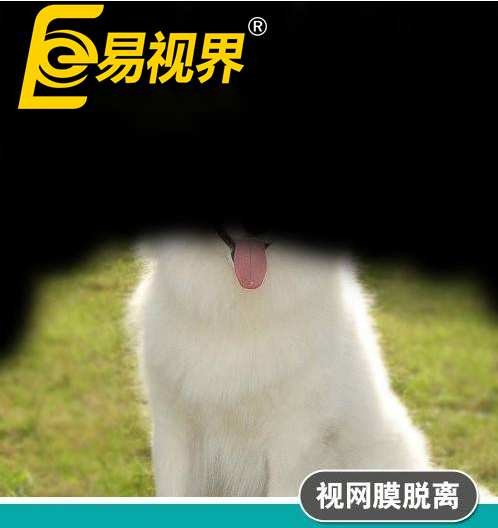 不一樣的眼病，不一
                </div>
                <div   id=