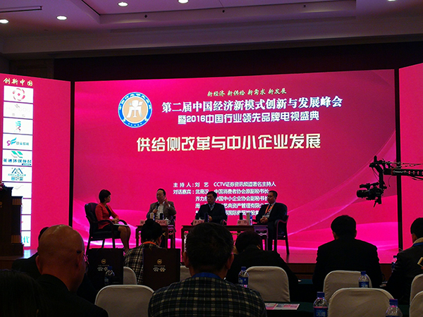 第二屆“中國經(jīng)濟(jì)新模式創(chuàng)新與發(fā)展峰會”暨2016“中國行業(yè)品牌”電視盛典