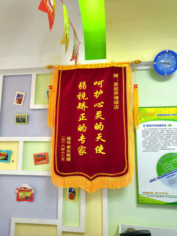 易視界防護之星薇佳