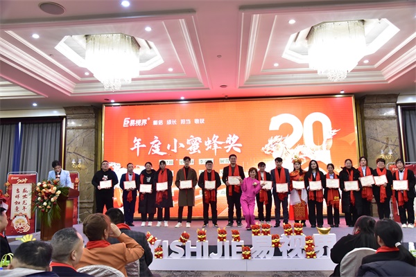 易視界年度小蜜蜂獎獲得者上臺領(lǐng)獎